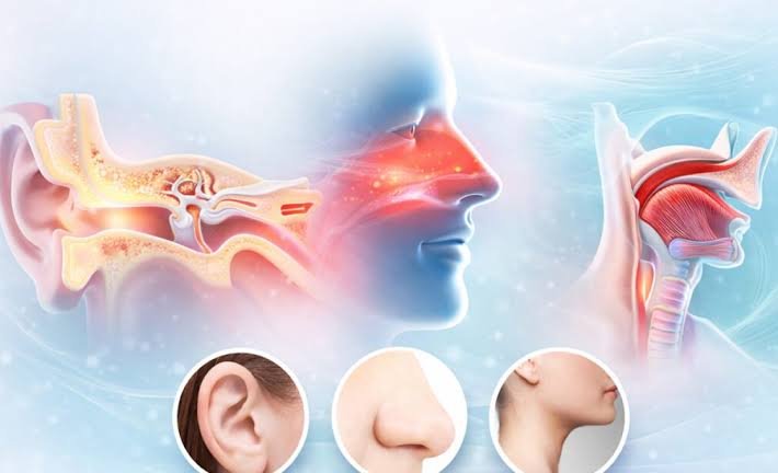 Ear, Nose & Throat